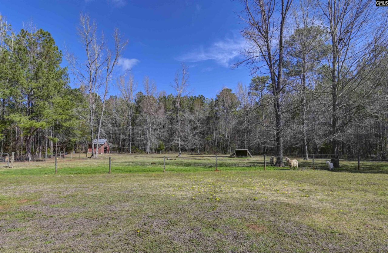 1032 Lawhorn Road  Photo 45