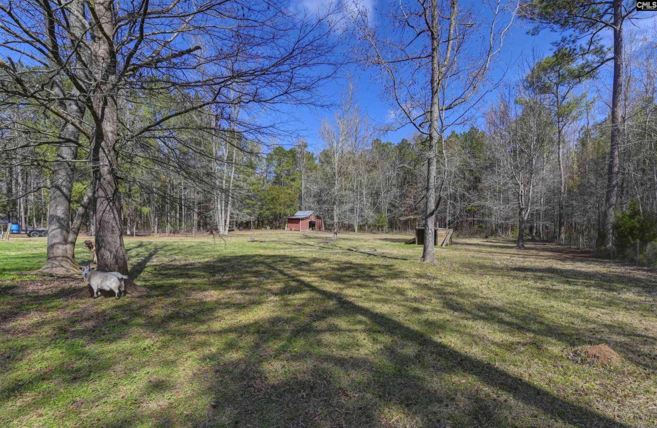 1032 Lawhorn Road  Photo 47