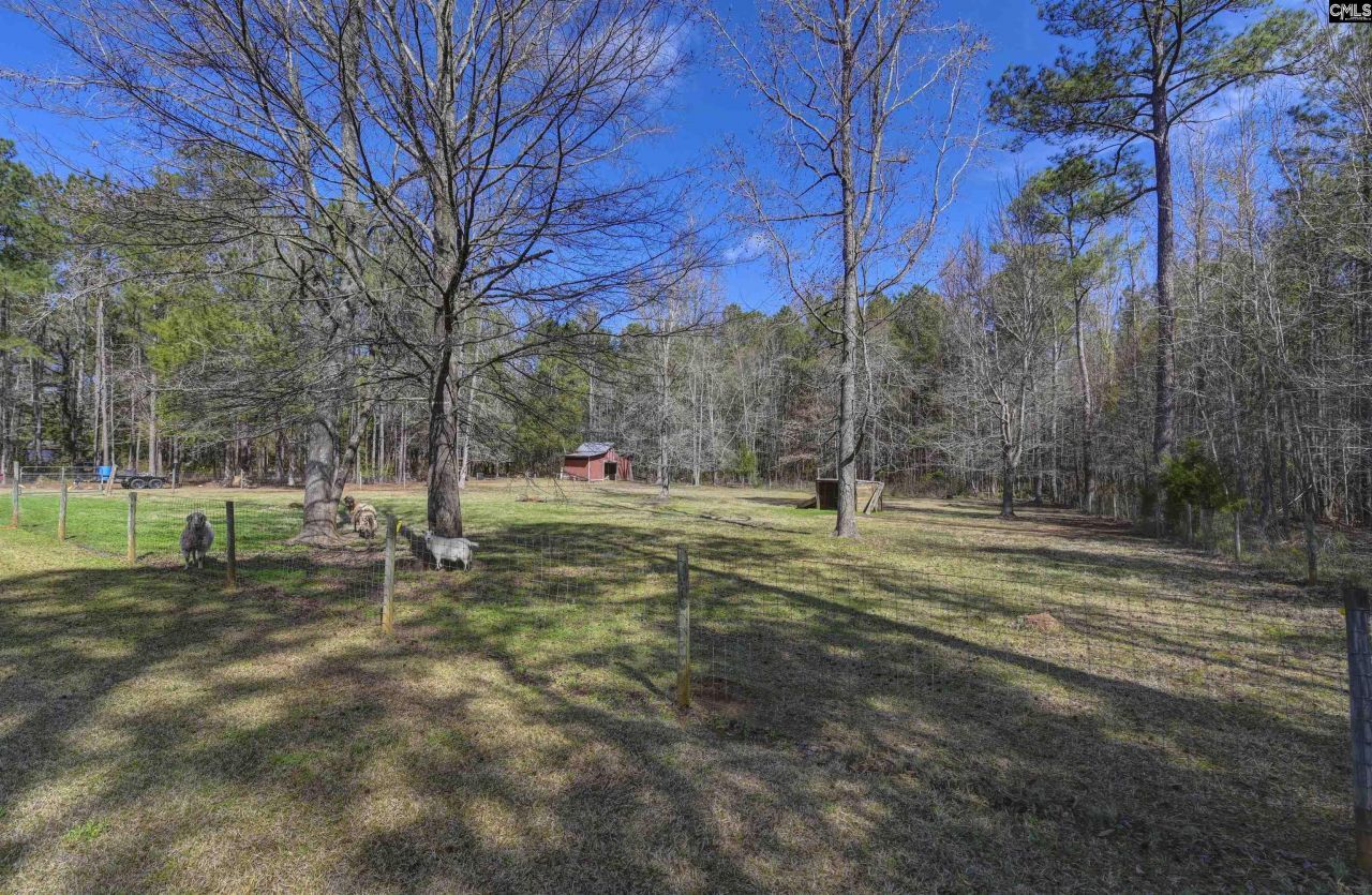 1032 Lawhorn Road  Photo 49