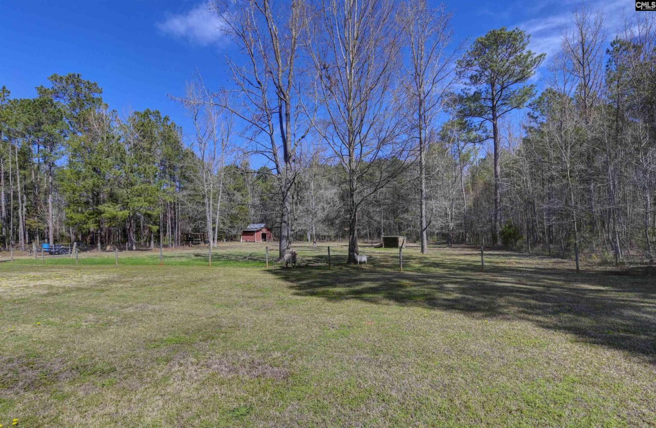 1032 Lawhorn Road  Photo 50