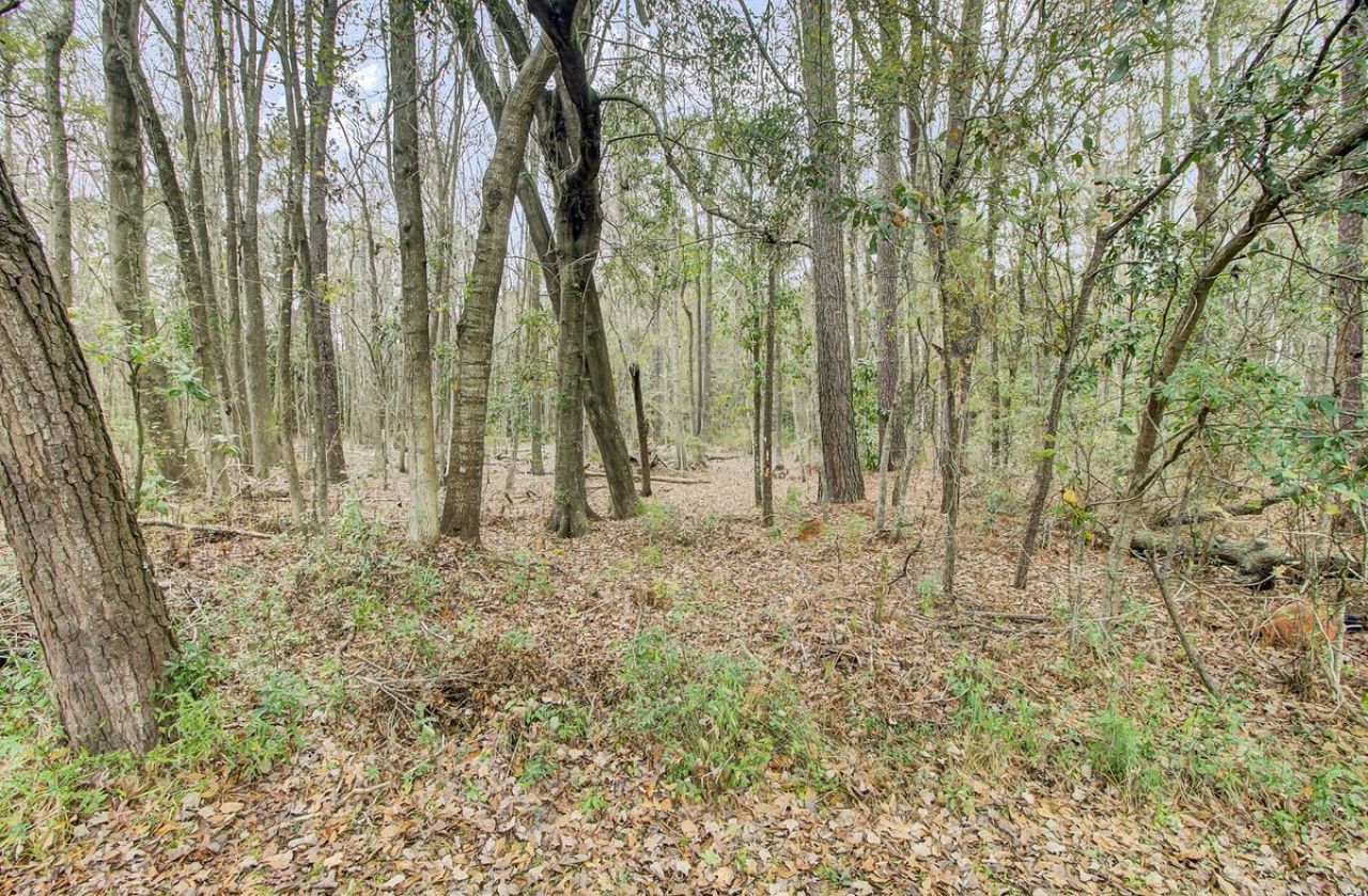 639 Orangeburg Road  Photo 12