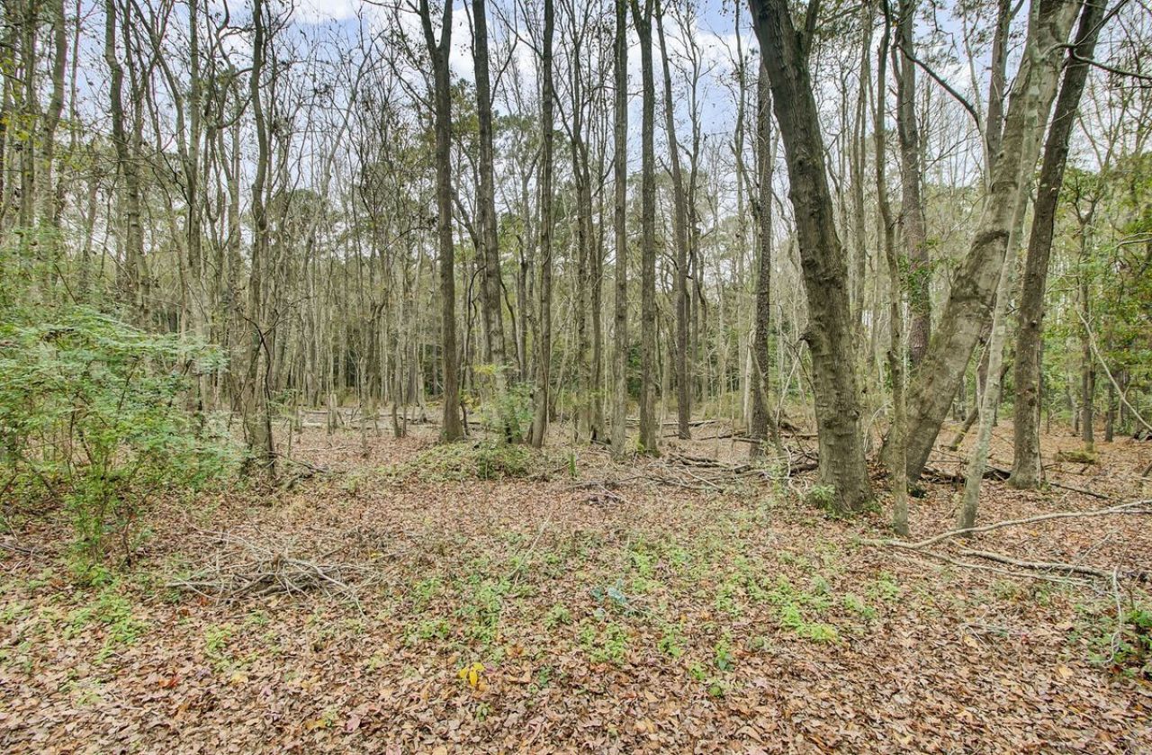 639 Orangeburg Road  Photo 13