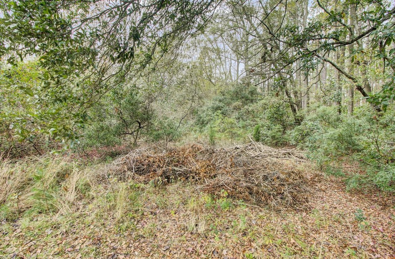 639 Orangeburg Road  Photo 14