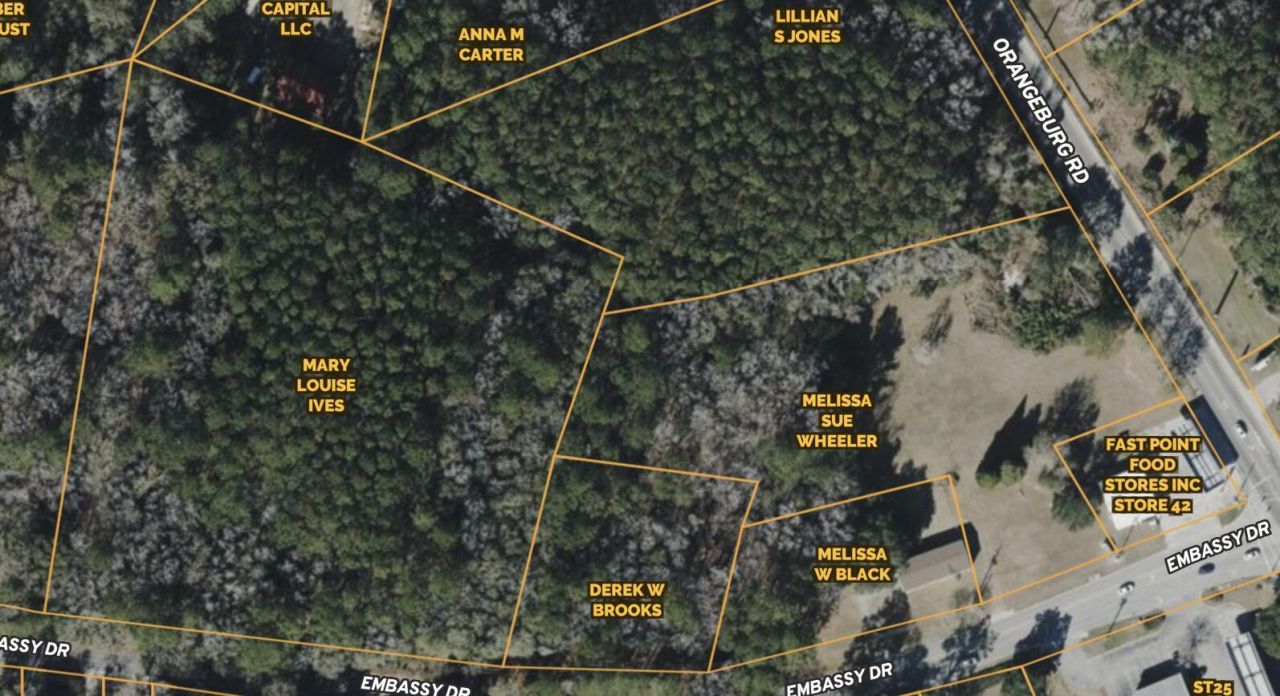 639 Orangeburg Road  Photo 17