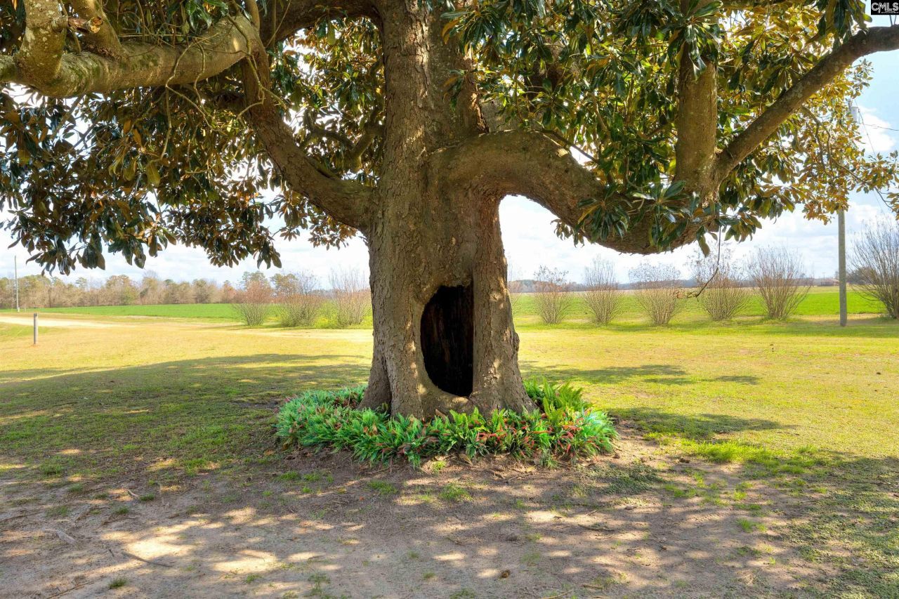 1404 Dog Island Rd Photo 14