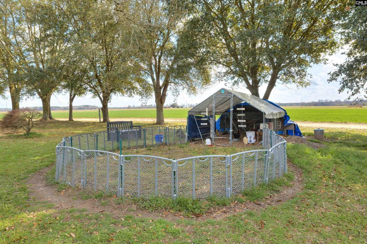 1404 Dog Island Rd Photo 17