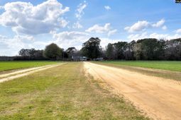 1404 Dog Island Rd photo 4