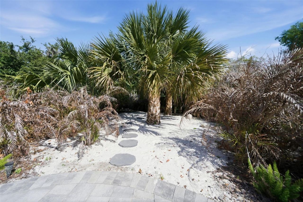 113 Sandy Oaks Place, Longwood, FL 32779 Photo