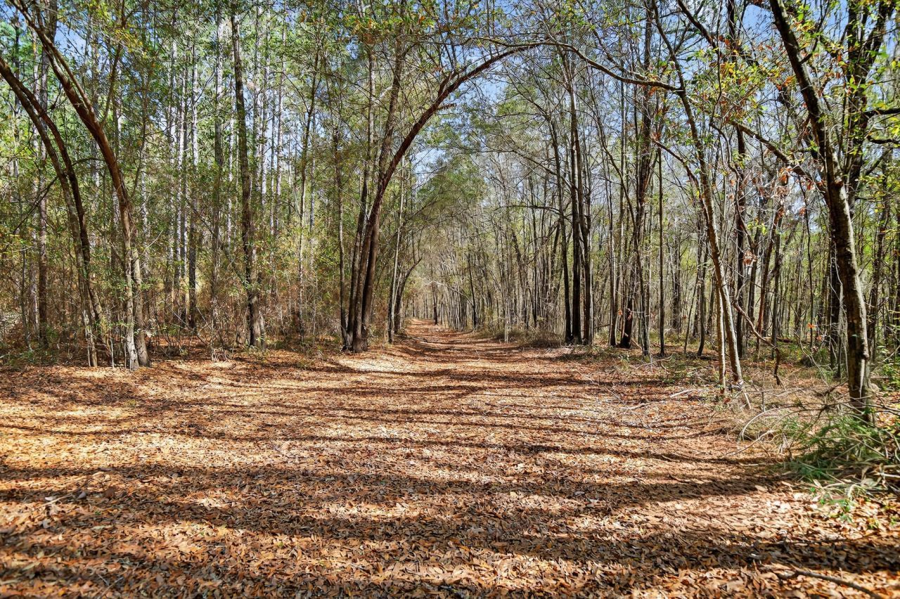 1223 Benton Road Photo 44