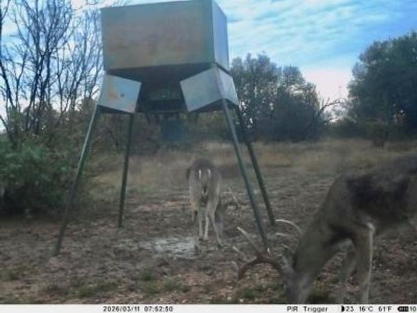 180 CR 531 , Mullin, TX 76844