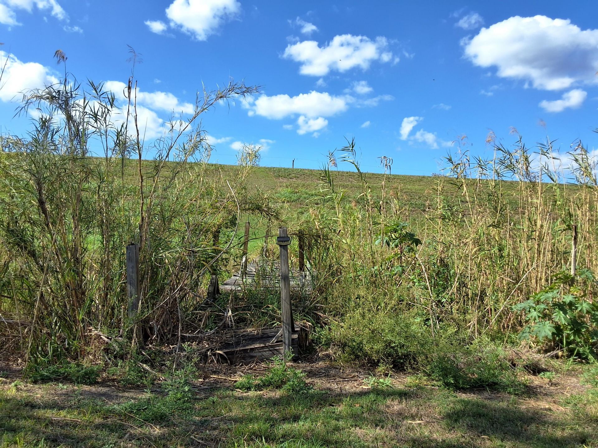 1221 Bacom Point Road, Pahokee, FL 33476 Photo