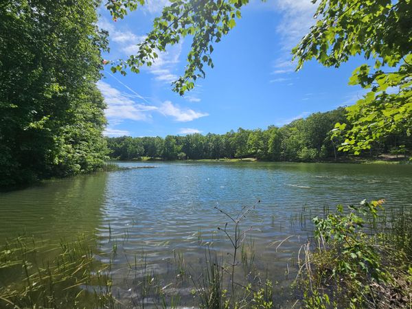 24 Blumont Drive, Altamont, TN 37301