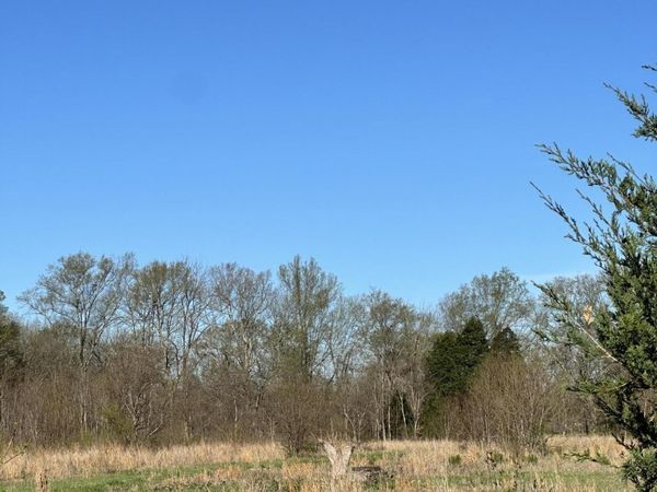 Ms-469 , Florence, MS 39073