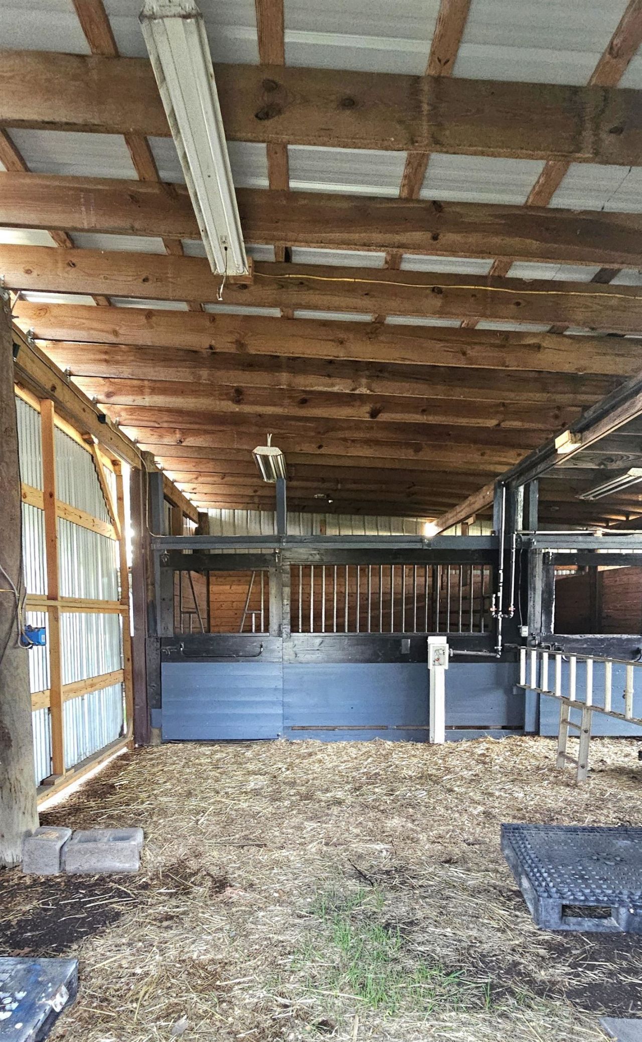 181 Halfway Rd. Photo 66