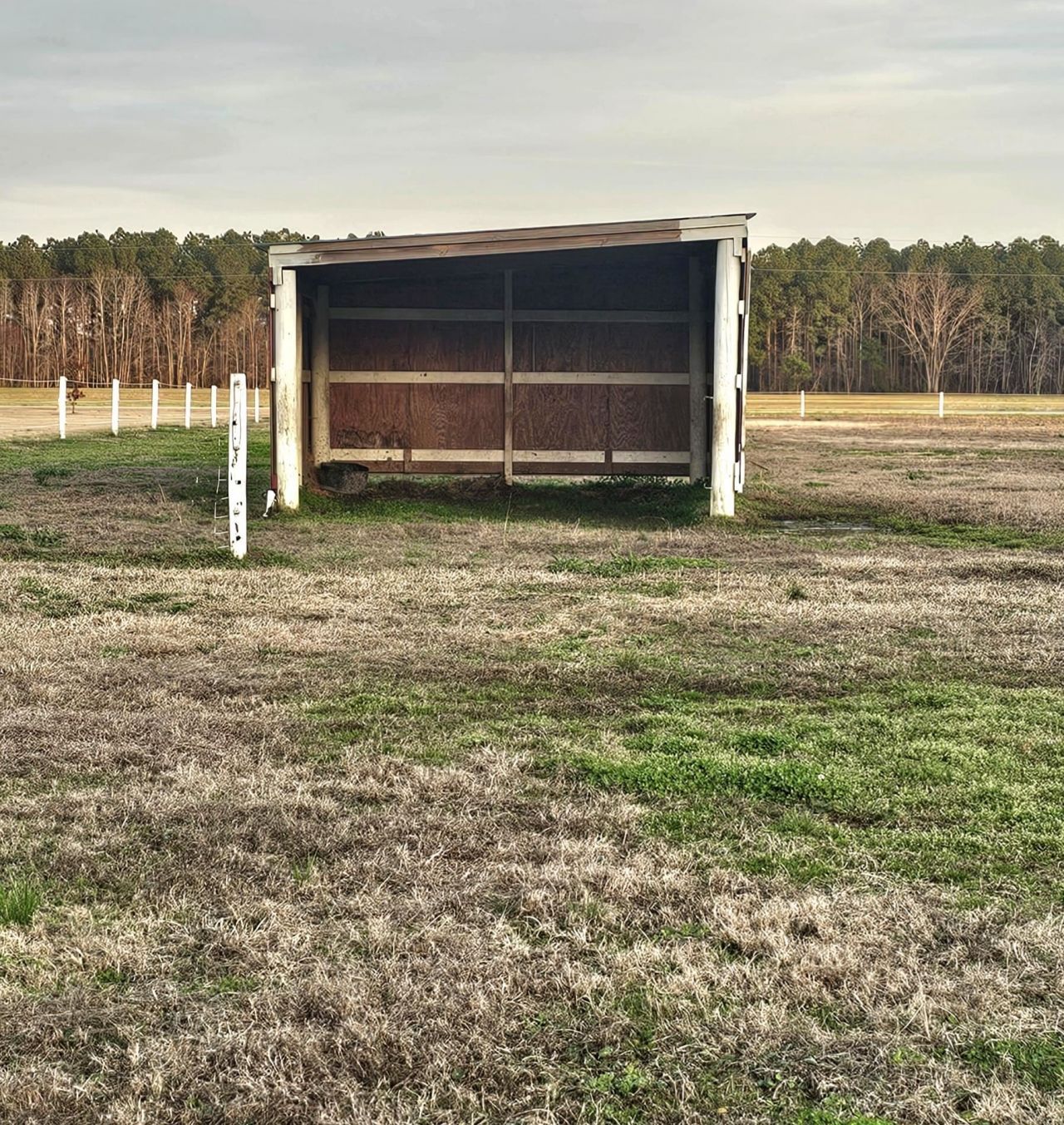 181 Halfway Rd. Photo 73