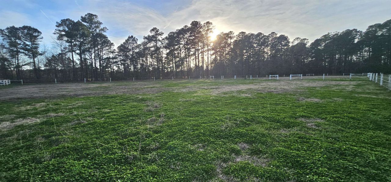 181 Halfway Rd. Photo 78