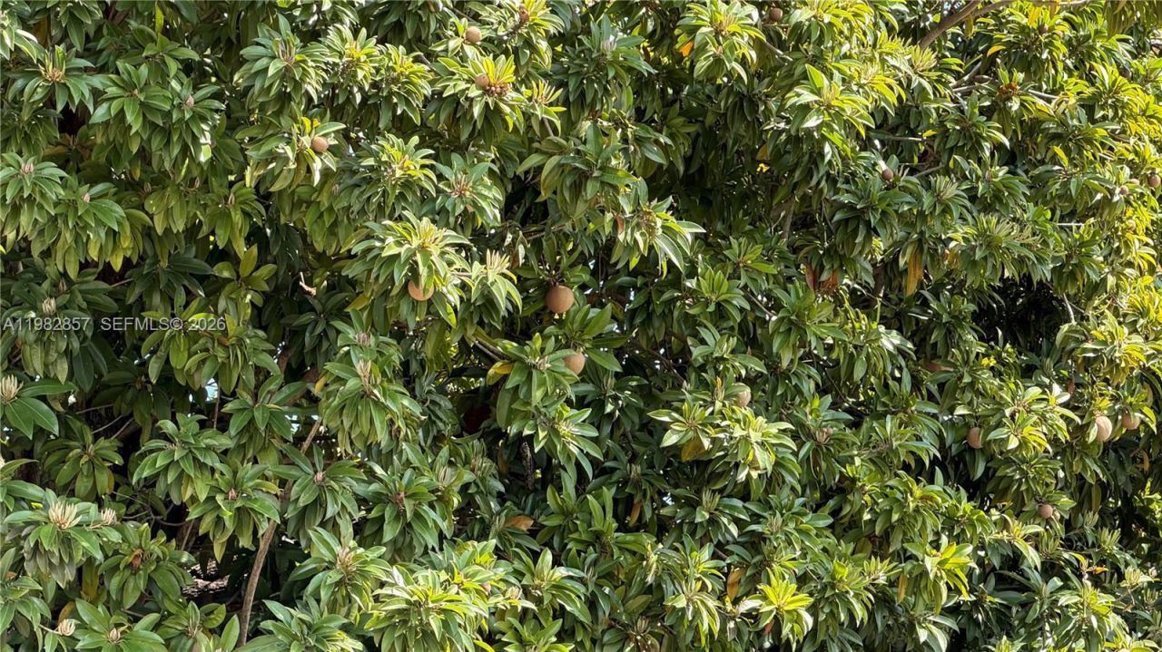 250 E 60th St, Hialeah, FL 33013 Photo