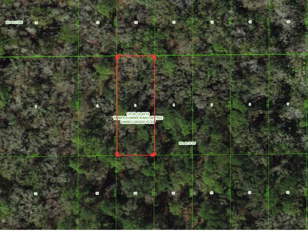 UNASSIGNED, WESLEY CHAPEL, FL 33544