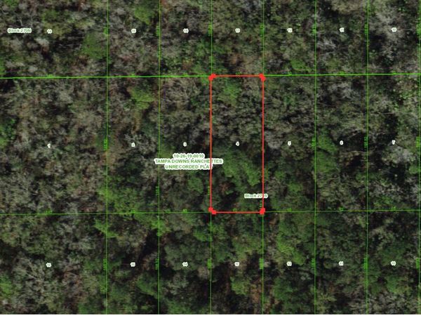 UNASSIGNED, WESLEY CHAPEL, FL 33544