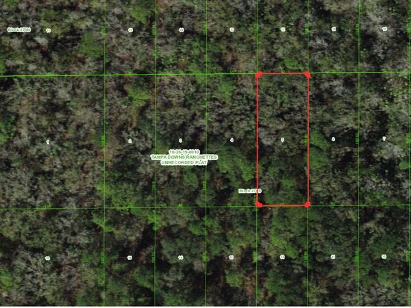 UNASSIGNED, WESLEY CHAPEL, FL 33544