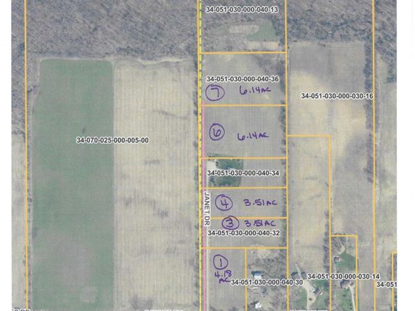 V/L Janet Dr Parcel 6, Saranac, MI 48881