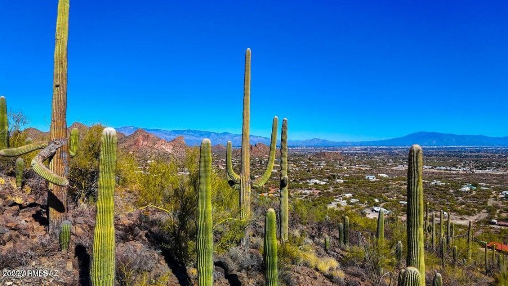 Tbd S Villa Sueno Lejos 10 Acres, Lot #--, Tucson, AZ 85746 Main Photo