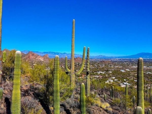 TBD S Villa Sueno Lejos 10 Acres, Unit --, Tucson, AZ 85746