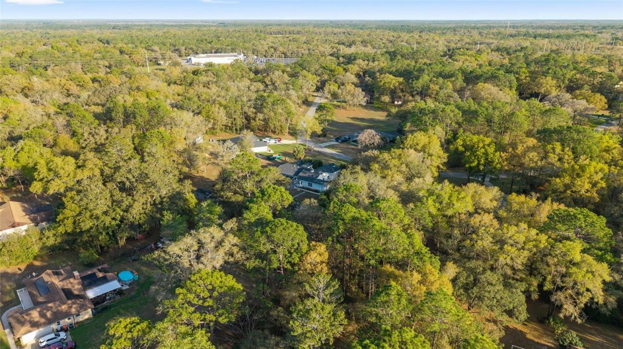 10043 SW 202nd Circle, Dunnellon, FL 34431 Photo
