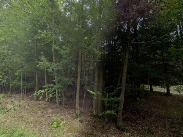 00 Lindholm Road , Fallsburg, NY 12733