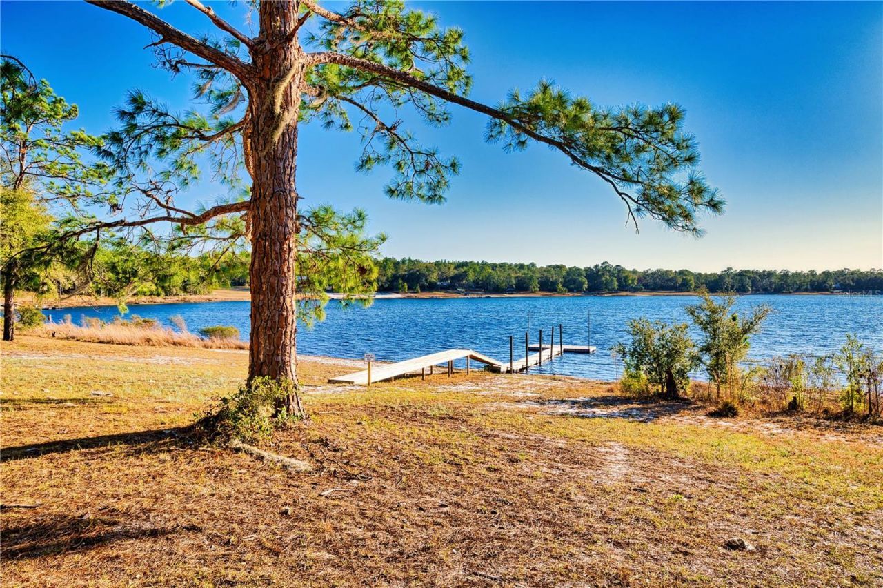 123 Mason Lake Trail, Hawthorne, FL 32640 Photo