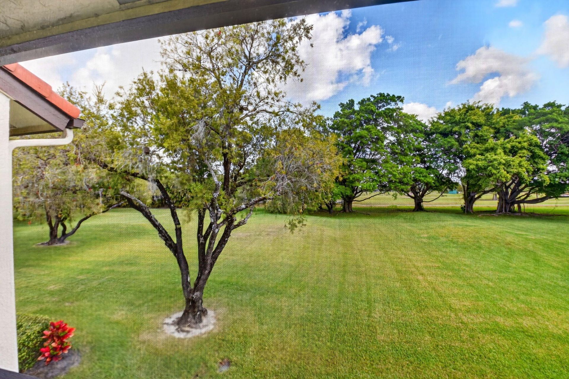 5903 Parkwalk Drive, Unit 623, Boynton Beach, FL 33472 Photo