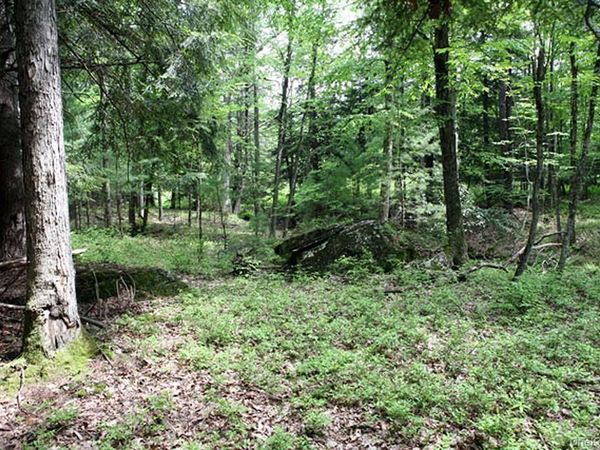 0 Neighborhood Road , Shirley, NY 11967