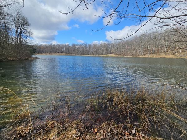 24 Blumont Drive , Altamont, TN 37301