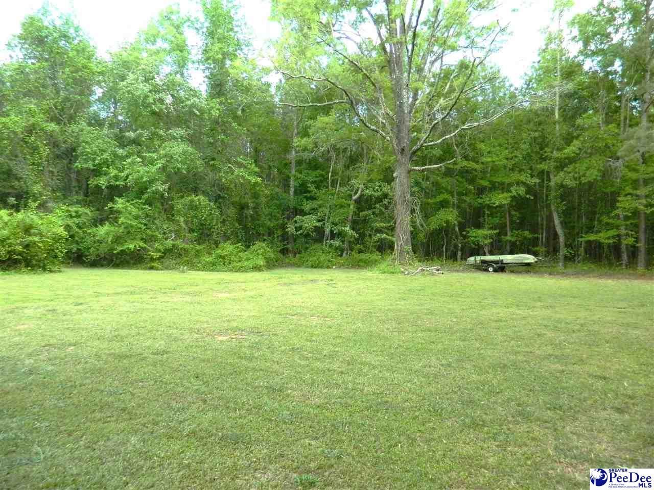 1469 Bay Branch Road Photo 11