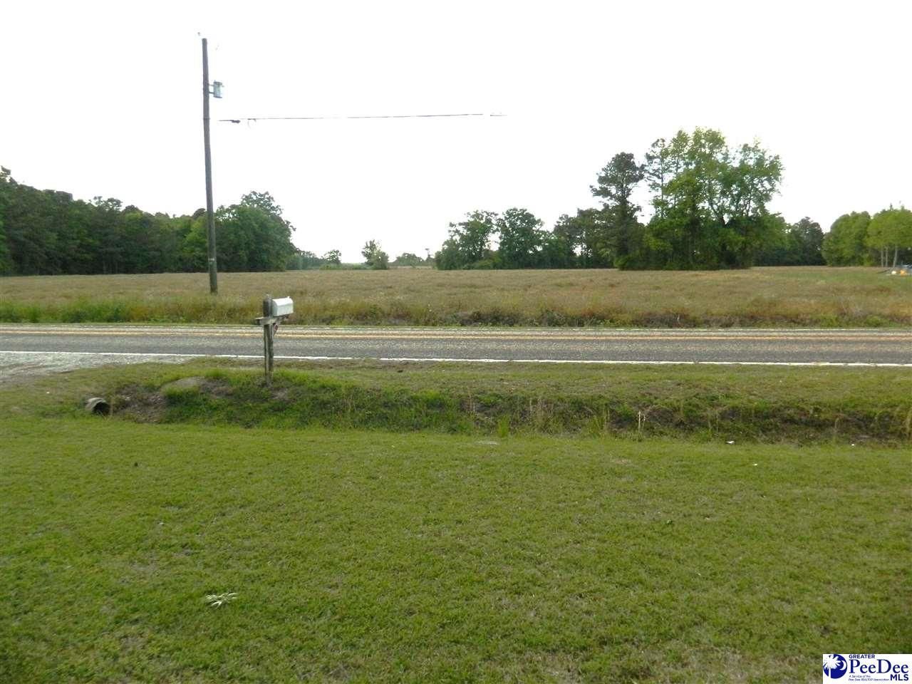 1469 Bay Branch Road Photo 12