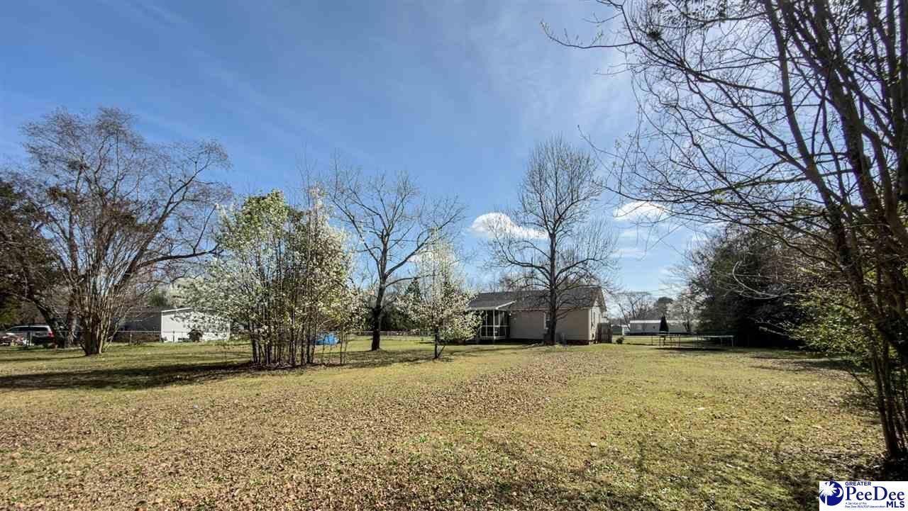 3007 Edenwood Drive Photo 37