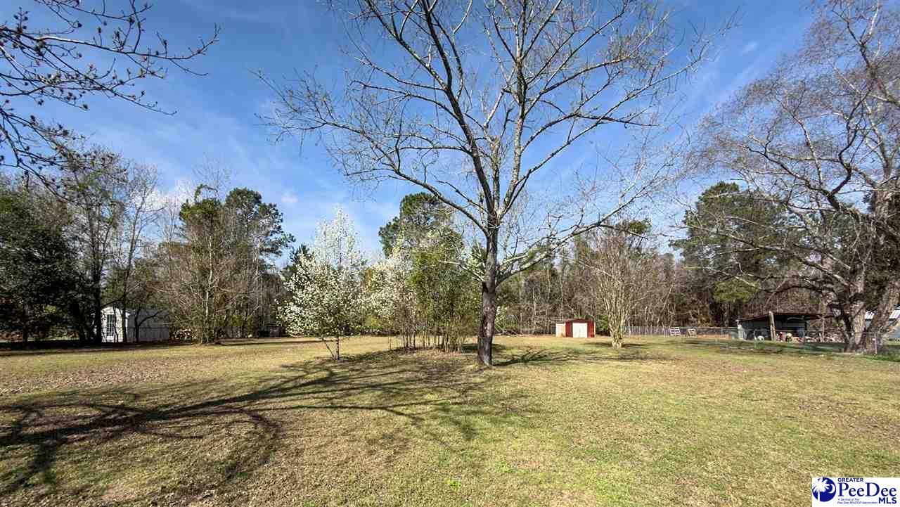 3007 Edenwood Drive Photo 40