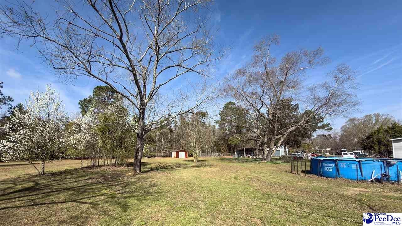 3007 Edenwood Drive Photo 41