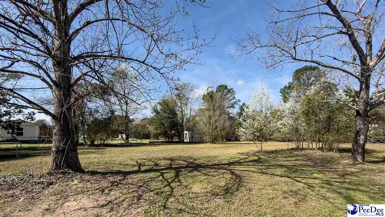 3007 Edenwood Drive Photo 42