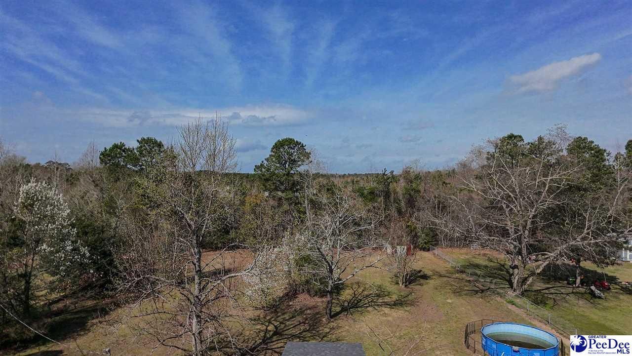 3007 Edenwood Drive Photo 47