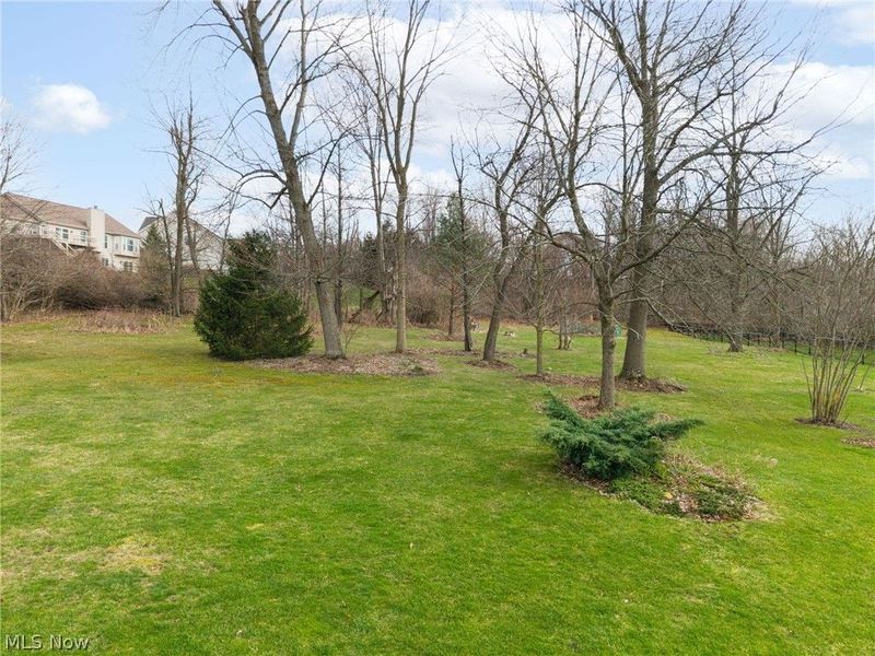 3041 Pondsford Drive, Medina, OH 44256 Photo 29
