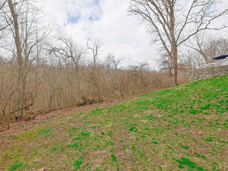 311 Ritchie Avenue, Wyoming, OH 45215 Photo 68