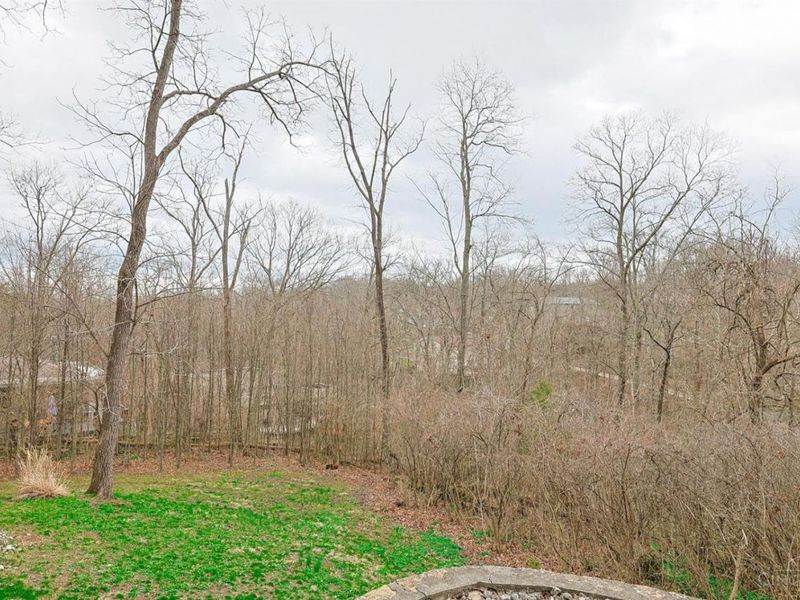 311 Ritchie Avenue, Wyoming, OH 45215 Photo 70