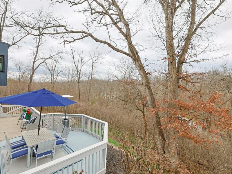 311 Ritchie Avenue, Wyoming, OH 45215 Photo 71