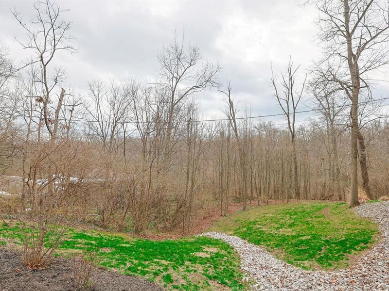 311 Ritchie Avenue, Wyoming, OH 45215 Photo 74