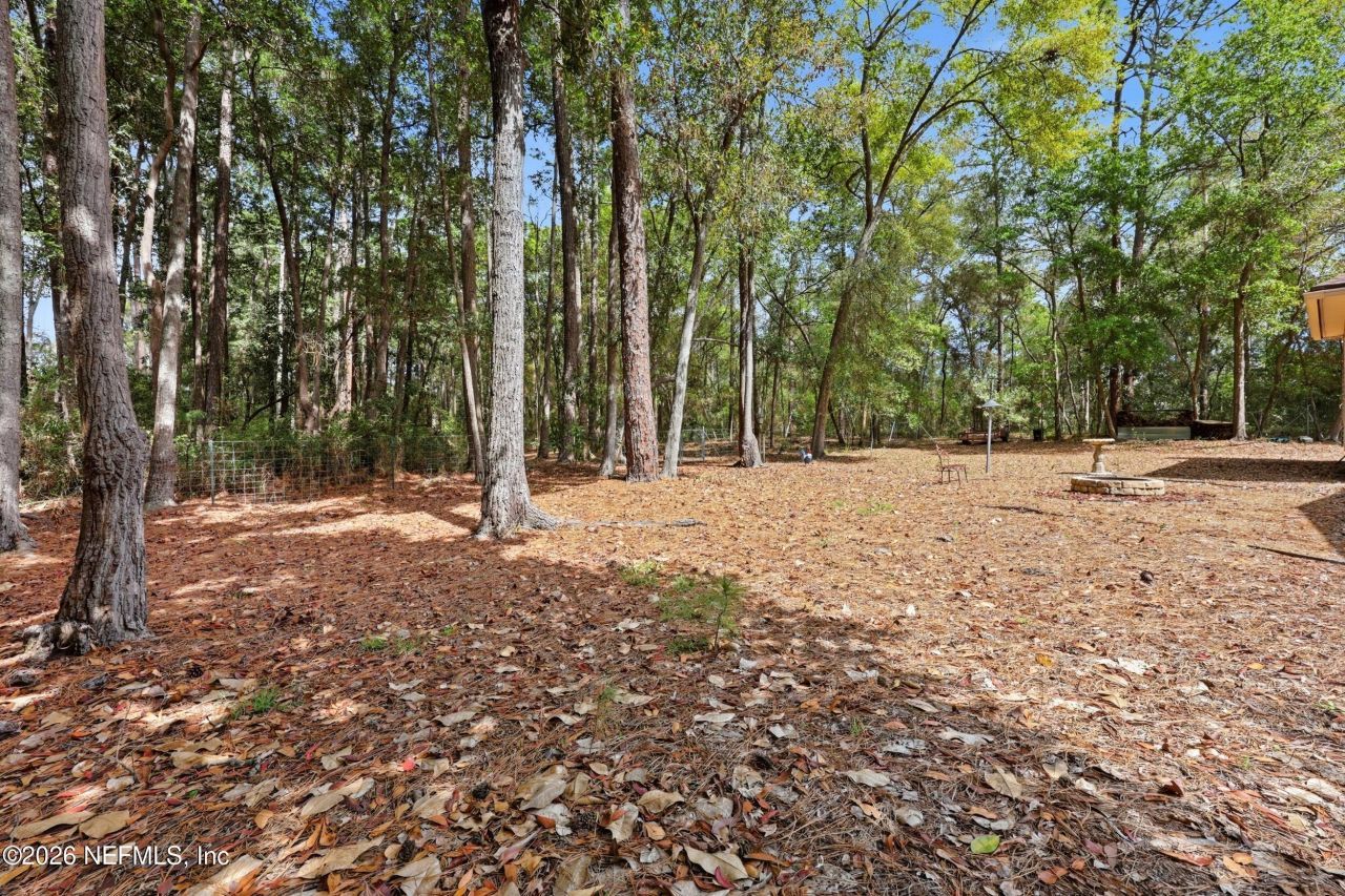 6911 Tonga Drive Drive, Jacksonville, FL 32216 Photo