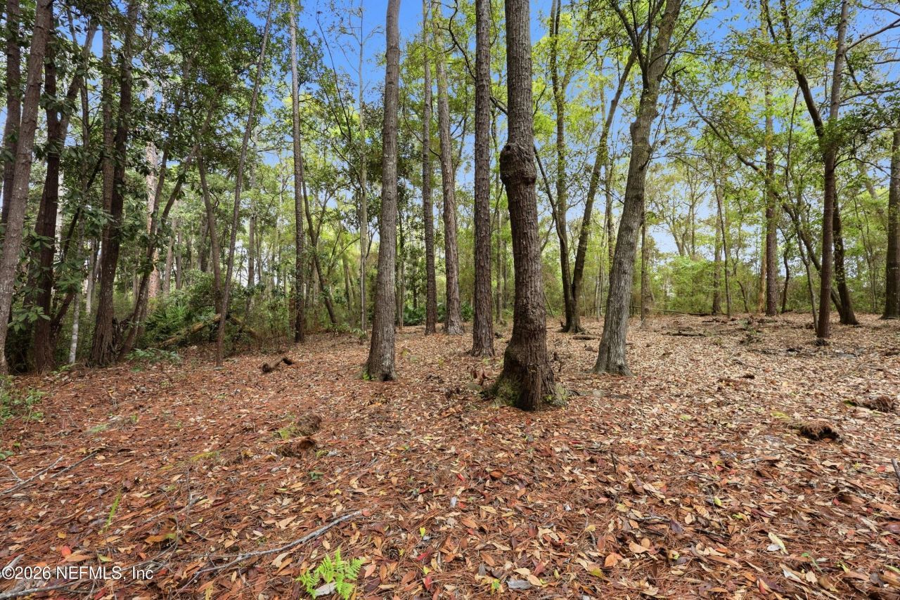 6911 Tonga Drive Drive, Jacksonville, FL 32216 Photo