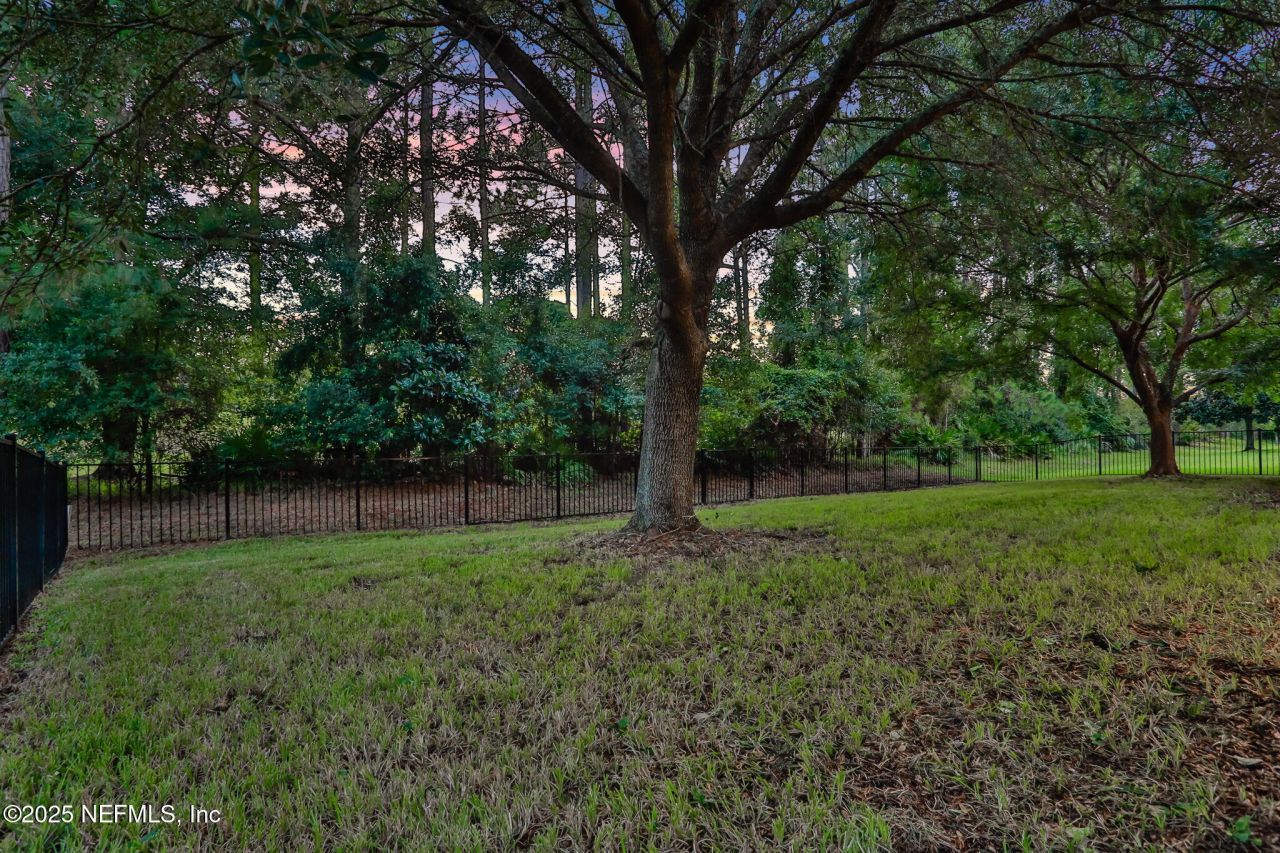 1799 Wild Dunes Circle, Orange Park, FL 32065 Photo