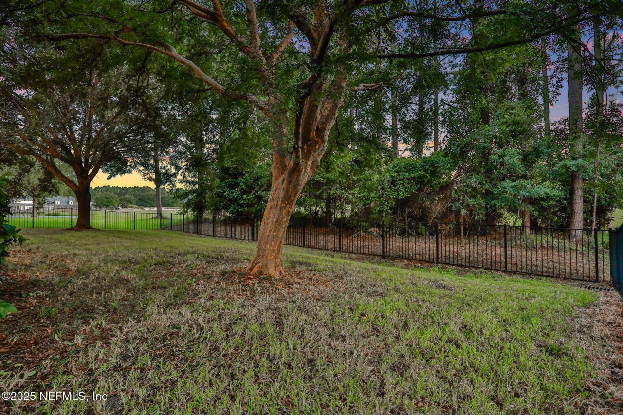 1799 Wild Dunes Circle, Orange Park, FL 32065 Photo