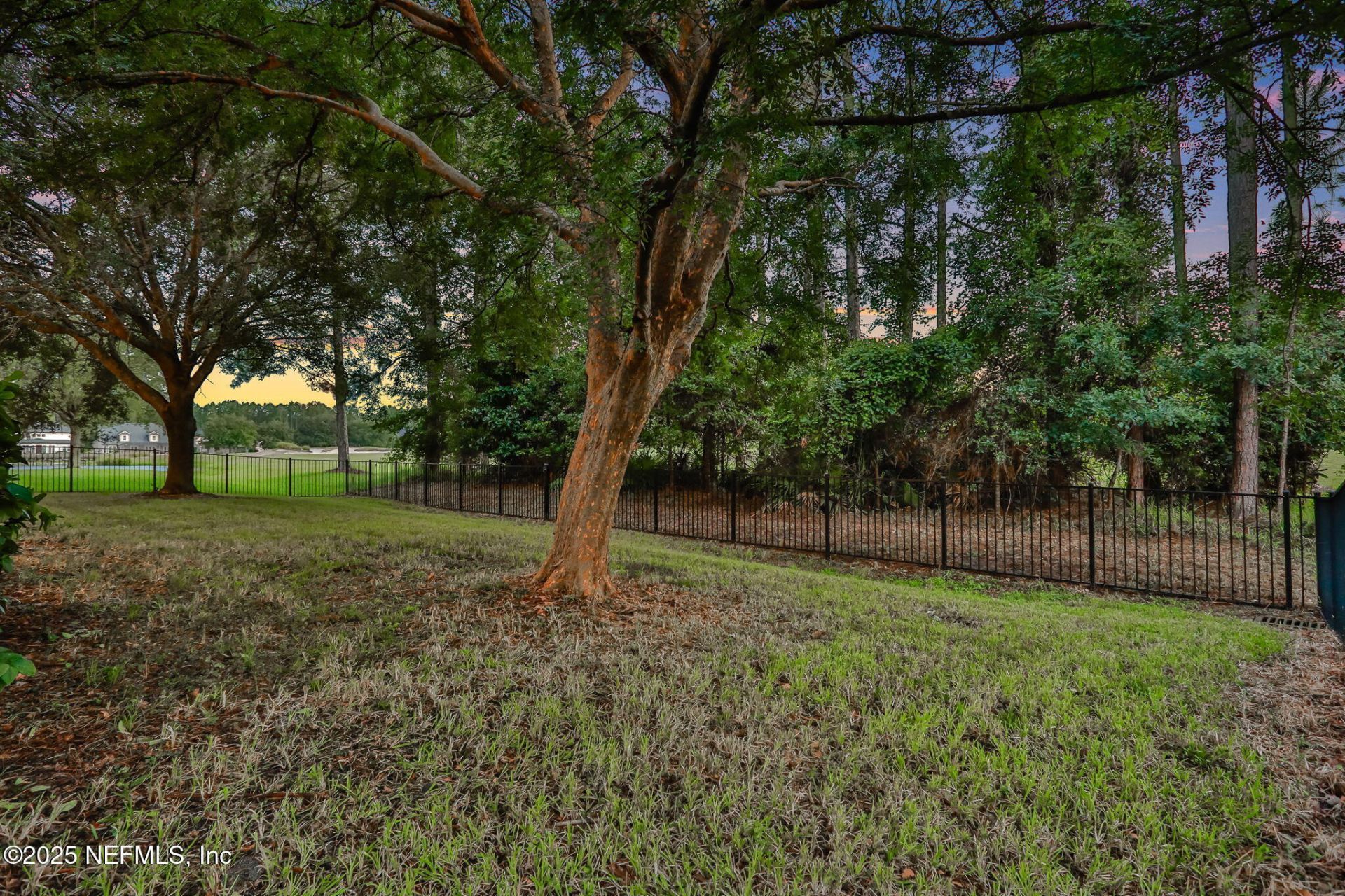 1799 Wild Dunes Circle, Orange Park, FL 32065 Photo